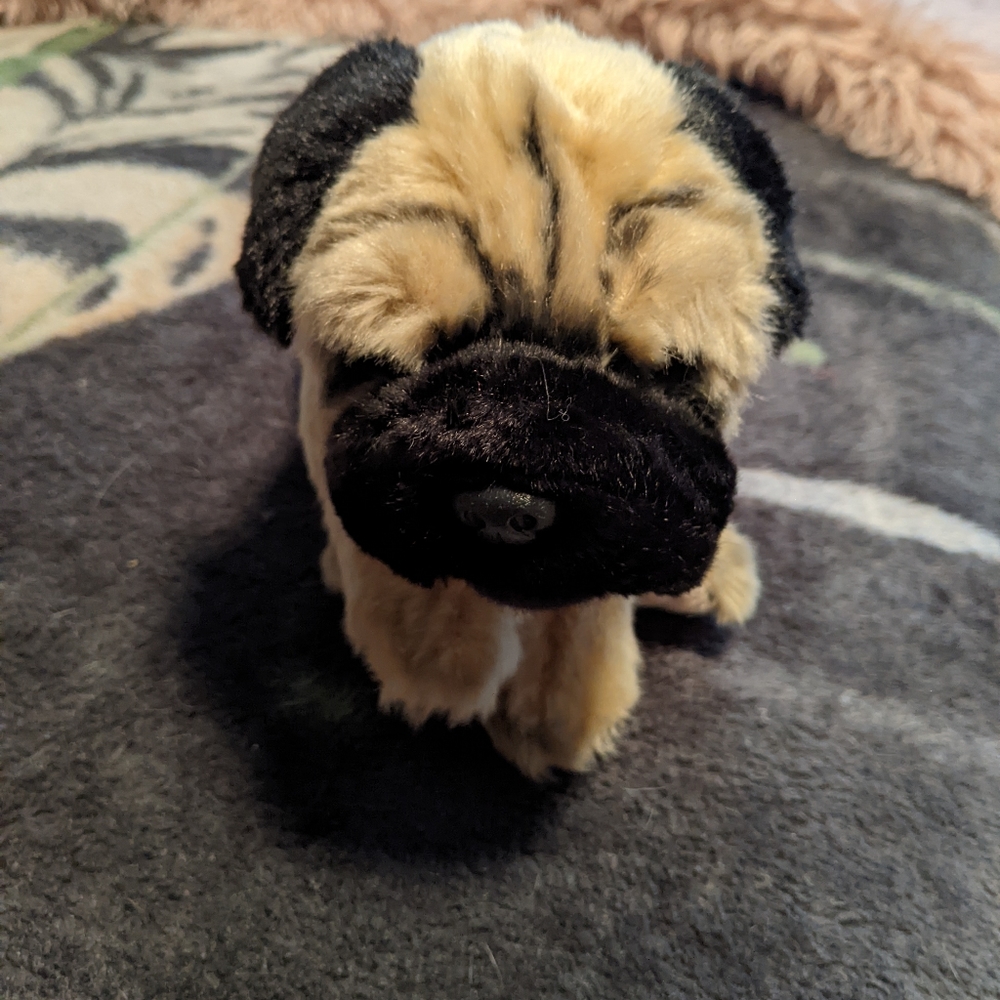 Plush pug puppy